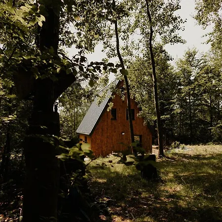 Szyszka Holiday home *
